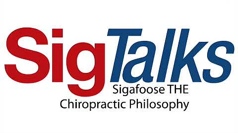 013 SigTalks - A Sneak Peak, Behind The Scenes Loo...