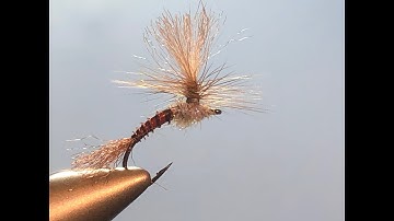 1K Isonychia Parachute Emerger