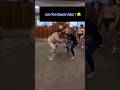 👀Alex Pereira Dodged Japanese Sumo Wrestler 🤼 #shorts #mma #ufc