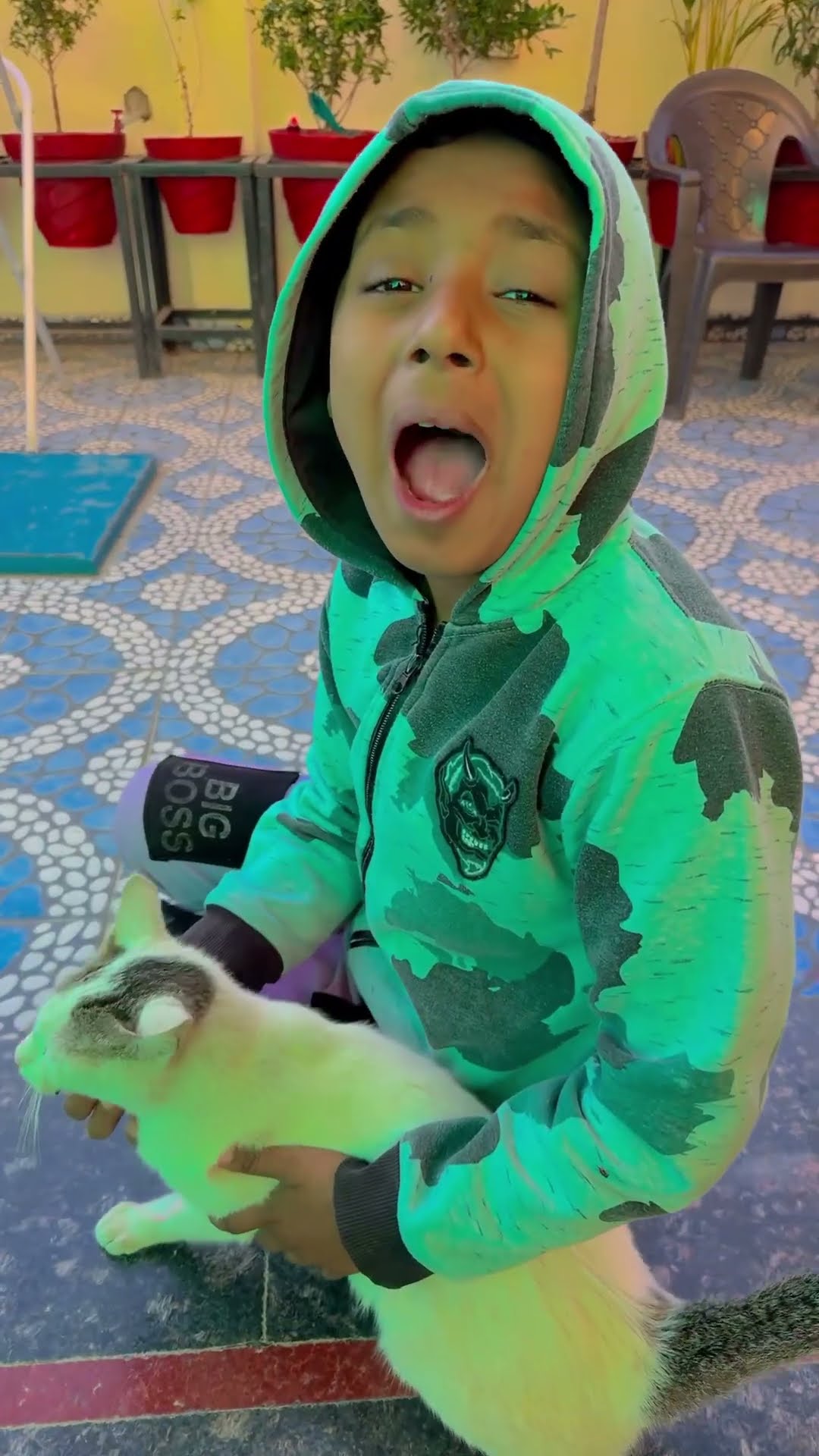 Tujhko na dekhun ❤️? #shorts #love #maa #cutecat #viralvideo