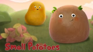 Miniatura de vídeo de "Small Potatoes - Seasons"