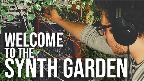 synth garden 1: welcome to the garden . eurorack ambient with ARP2600