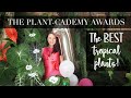 Best AWARD-WINNING Tropical plants! (in my garden)