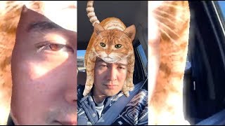 Facebook Messenger's Cat Hat Filter screenshot 5