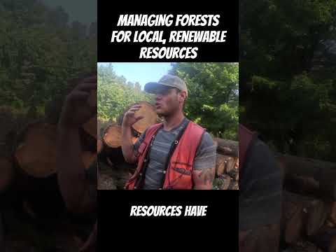 Managing Forests for