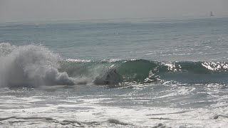 NEW Tommy Lee Sparta Skeng Run Dem Block Protocol Rasta Surf Mix  BEST Combo Waves Video California