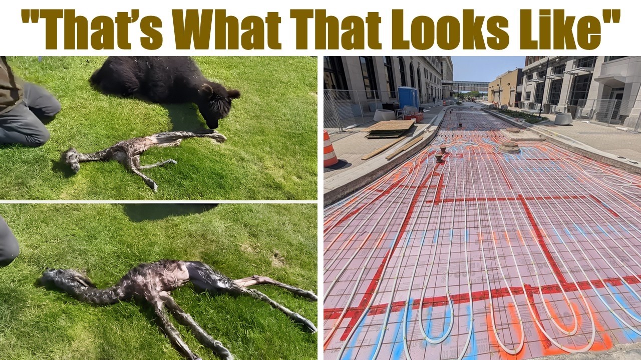 Captures That Will Make You Say, 