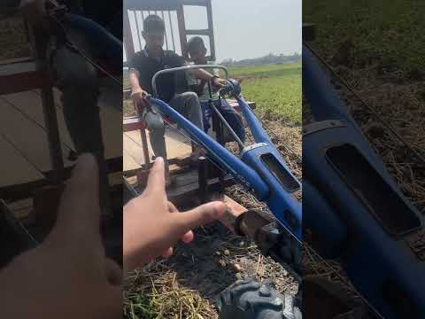 আপনাদের অঞ্চলে এটাকে কি বলে? 🤔