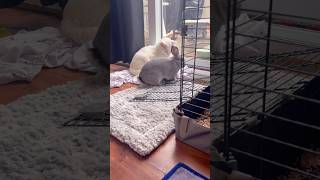 Just Two Friends Hanging Out