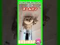 かわいいに癒されたら寝ろ‼️ #YouTubeShorts #おもしろ動画