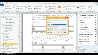 How to use UMP thesis template part 3
