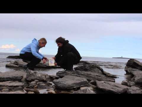 Video: Výhody Odpočinku V Baltském Moři