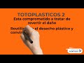 Totoplastico 2