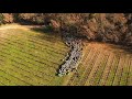 VitiPasto : Viticulteurs et éleveurs ensemble vers l'agroécologie