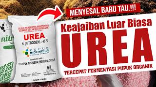 MENYESAL BARU TAU.❗❗❗ KEAJAIBAN LUAR BIASA UREA, PERCEPAT FERMENTASI PUPUK ORGANIK | Kompos Bokashi