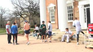The Turtle Trot