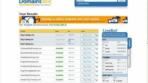 How To Find Targeted Domain Names For Your Website