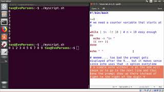 M09T2.1 - Intro to Linux - Bash Scripting - While and Until Loops