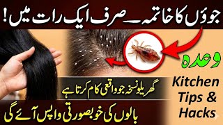🔴" Homemade Hair Oil for Fast Hair growth ;; Remove lice Naturally at Home 🏡
