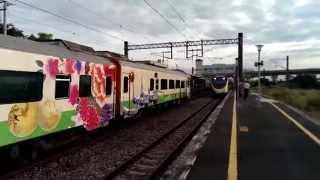 52次觀光列車通過新市站