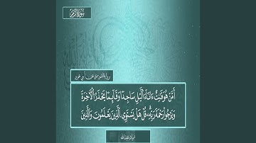 ما تيسر من سورة الزمر