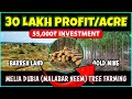 Transforming 55000 rupees into 30 lakh profit  melia dubia malabar neem tree farming