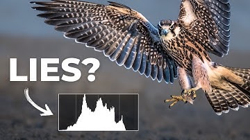 How to Use Histograms for Better Photography