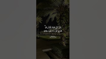 اكتشف نعمة السكينة والهدوء من خلال تلاوة القرآن الكريم _سورة_البقرة ...