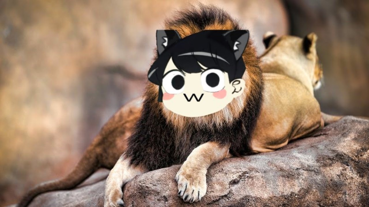 HeyoImHungry Live Stream