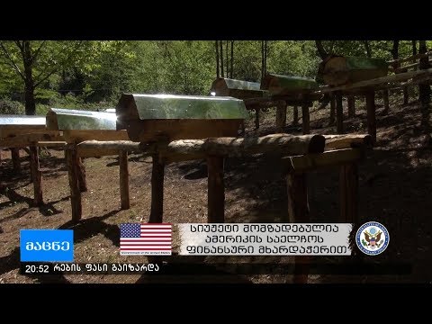 ამერიკაში მოღვაწე ექიმის „ჯარას“ თაფლის  ბიზნესად ქცეული ჰობი