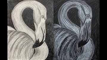 Shading & Directional Marks, Part 2 of Positive/Negative Space Drawing, Dogs Art Studio