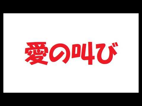 愛の叫び／キャロル（矢沢永吉）_280 cover by 感謝