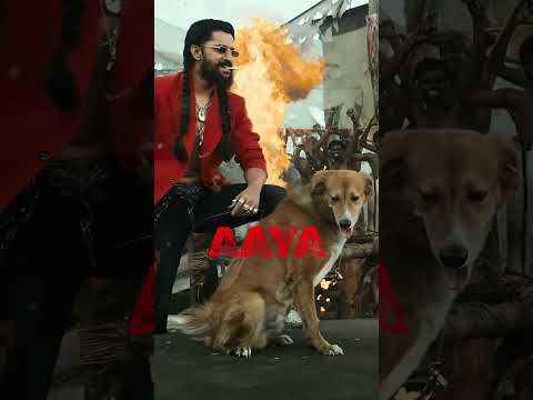 Aaya Sher #theparadise #trendingreels #Songslyrics #viral #Shots