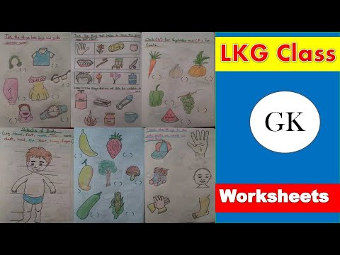 lkg gk worksheet evs worksheet for lkg junior kg