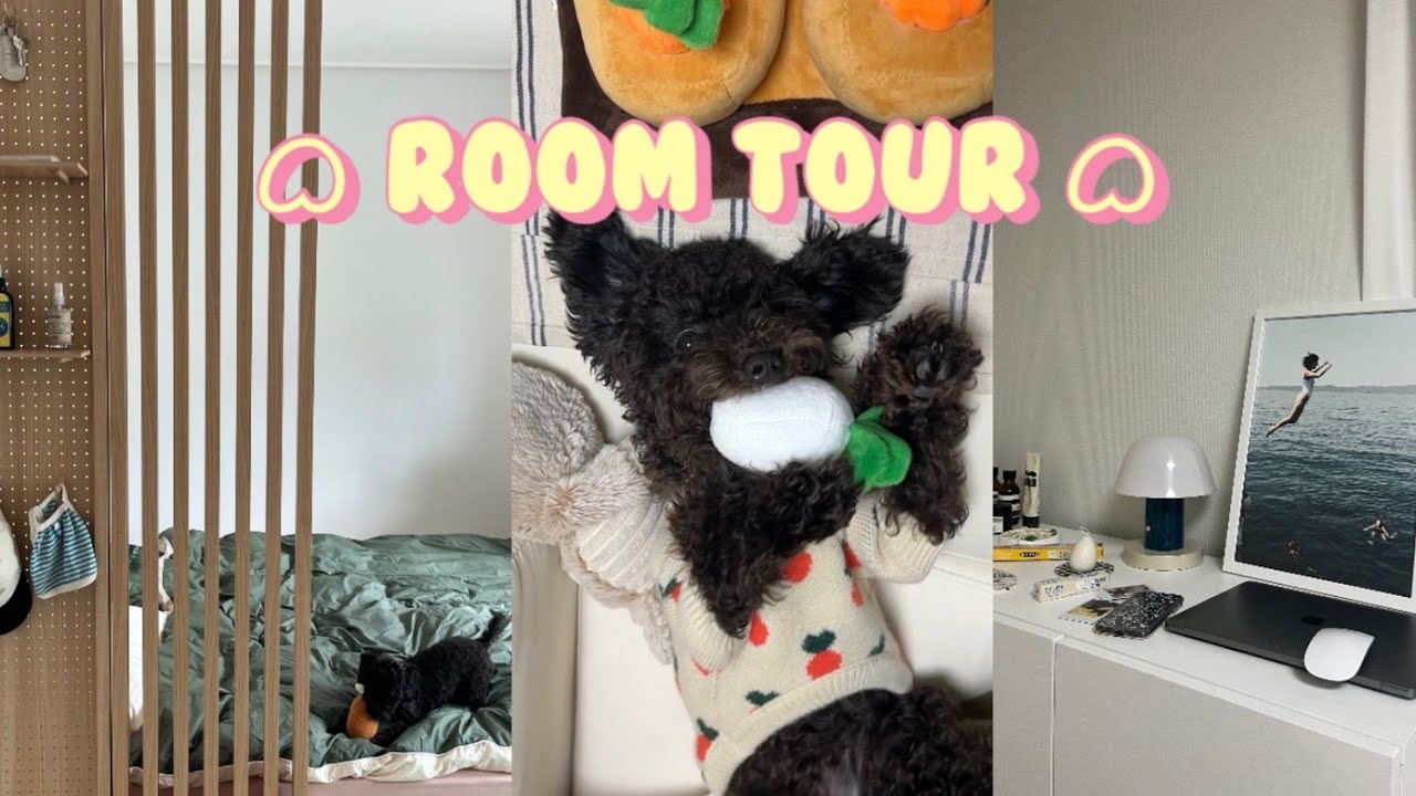ROOM TOUR |  LH행복주택 36형 룸투어. 랜선집들이. 푸들이와 함께사는 자취방. 자취 꿀템 추천,자취방 집꾸미기, 오늘의집 추천템