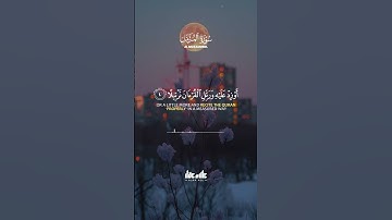 #أرح_قلبك_و_سمعك_بكلام_الله 🍂📖🤍 #القارئ_علاء_عقل🌻🎧🎙️ما تيسر من سورة المزمل