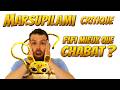 MARSUPILAMI REVIEW