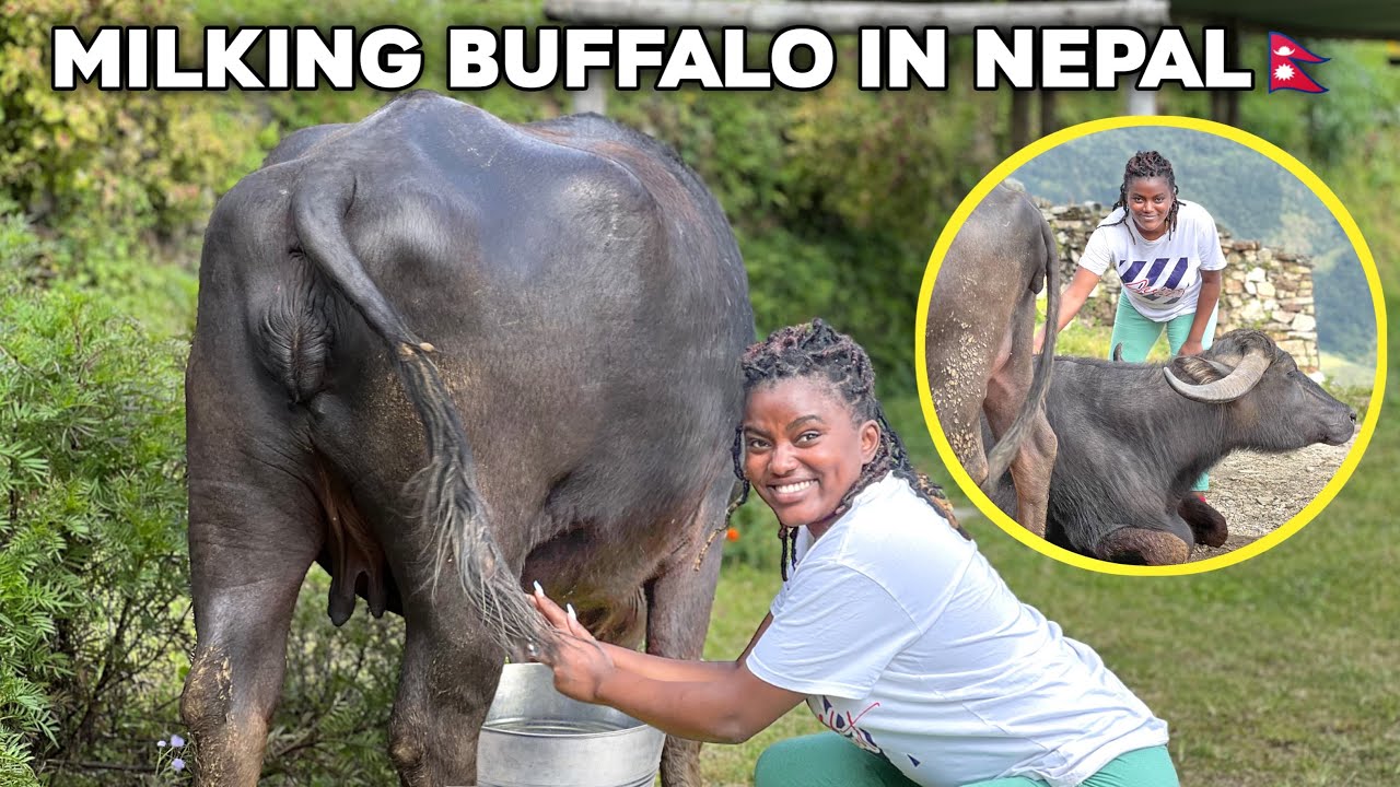 24 часа выживания среди диких животных 🇳🇵.