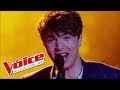 Jacques brel  amsterdam  antoine  the voice france 2016  demi finale