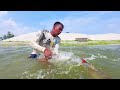 Really Unbelievable Fishing Method In River Underwater Monster Fish Catch #fishing