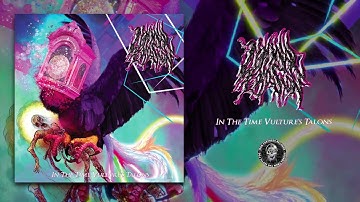 LIMINAL EROSION (US) - IN THE TIME VULTURE