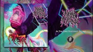 LIMINAL EROSION (US) - IN THE TIME VULTURE'S TALONS (Album) - Iron Fortress Records 2025