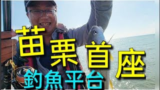 #新埔漁港 首座釣魚平台 人人有獎 各式魚貨頻頻現身 Fishing  台湾の釣り 낚시 câucá