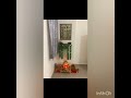 #trendingnow