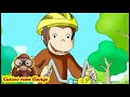 Curioso come George 🐵George va in Biccicleta 🐵Cartoni per Bambini 🐵George la Scimmia