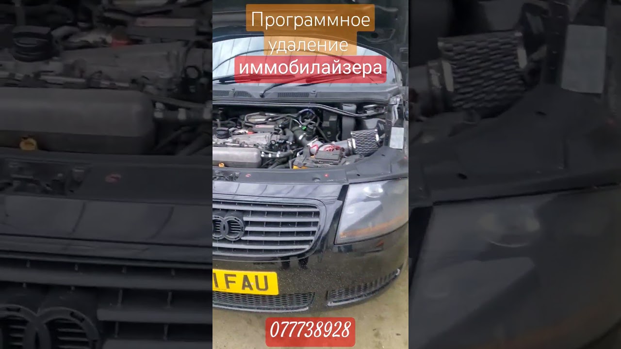 удаление иммо,  краш даты. Чип тюнинг и многое другое  Все вопросы в любой месенджер +37377738928
