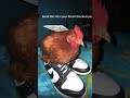 #chicken #shorts #fun #shoese #viral