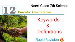 class 7th science chapter 12| Keywords definition 