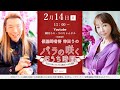 神田うの×假屋崎省吾『バラの咲くおうち時間』