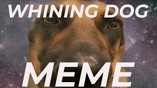 What's The 'Whining Dog Meme' And Where Did It Come From?